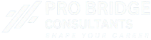 Pro Bridge Consultants