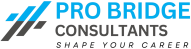 Pro Bridge Consultants